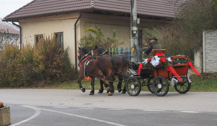 Zobraziť fotografiu